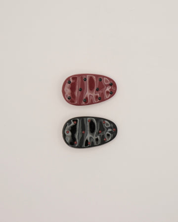 Hair Clips Set